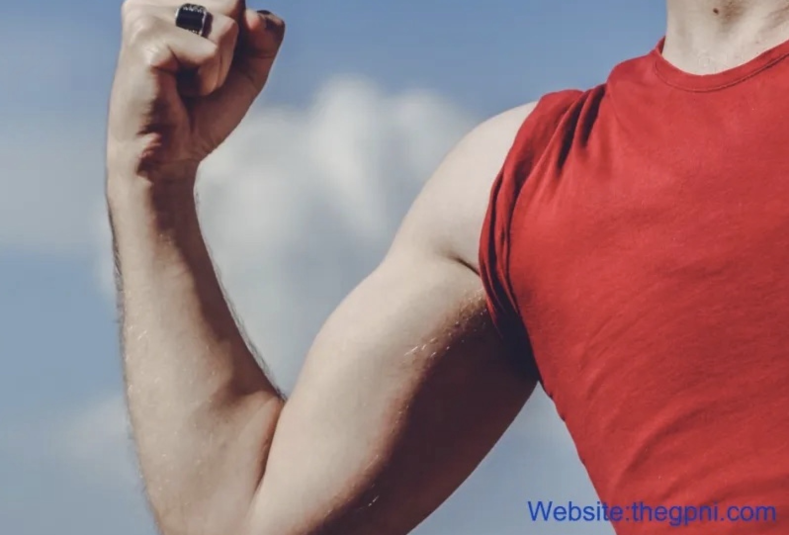 Protein Intake, Exercise Modalities, and Testosterone Regulation