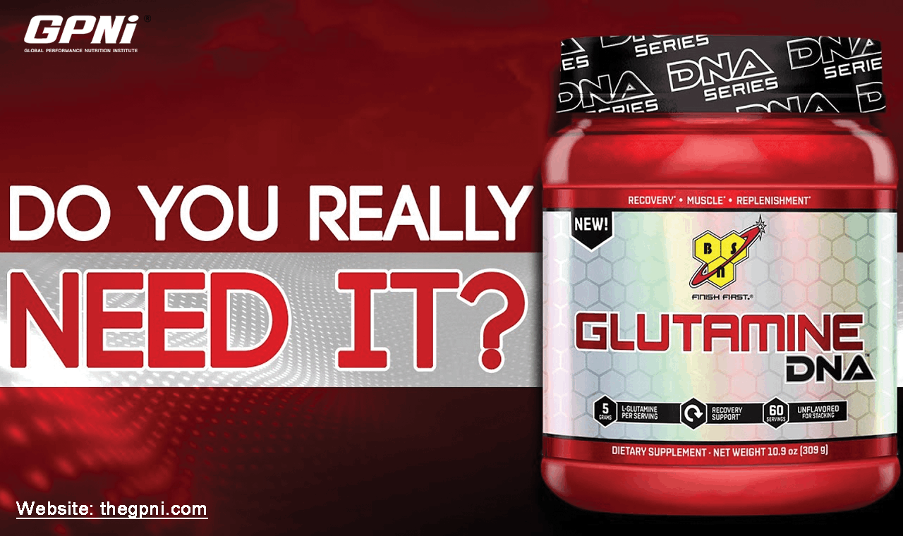 Does L-Glutamine Really Work For Muscle Growth & Protection?