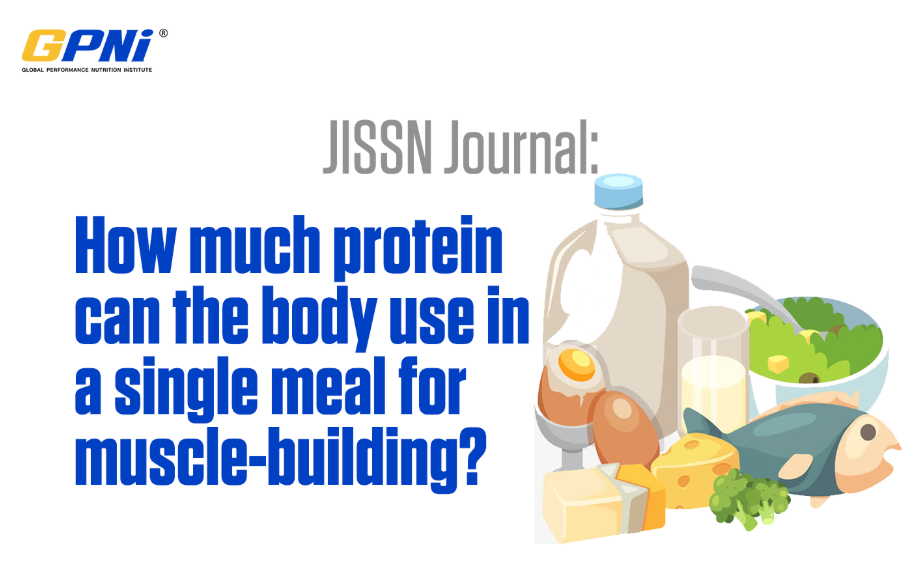 How much protein can the body use in a single meal for muscle-building? Implications for daily protein distribution