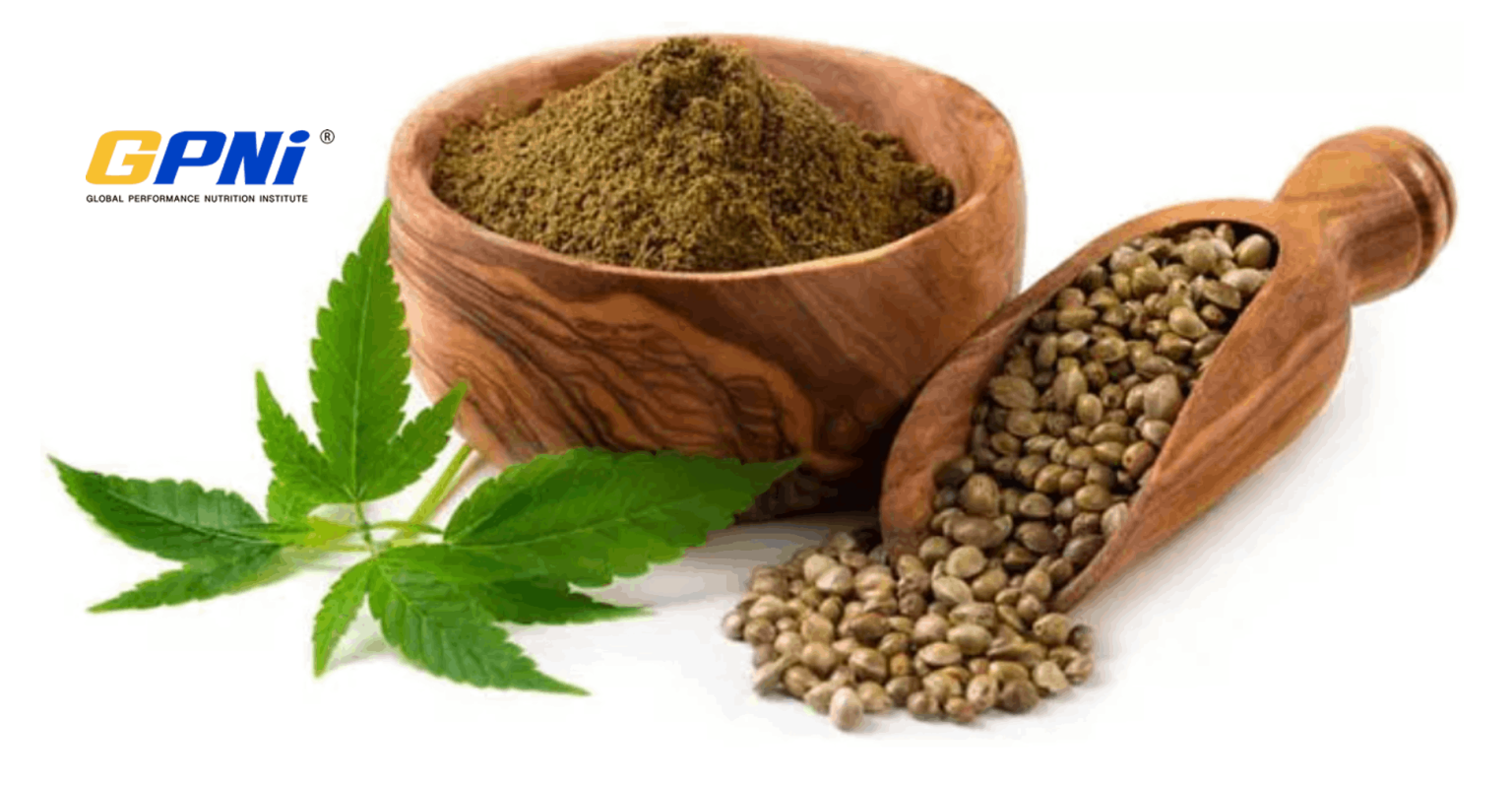 Hemp Protein - Is It The New Superfood Protein?