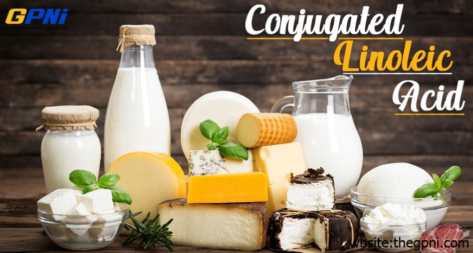 The Research on Conjugated Linoleic Acid (CLA) & Fat Loss
