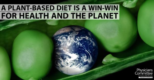 Is Plant-Based Protein Truly Good for The Environment?