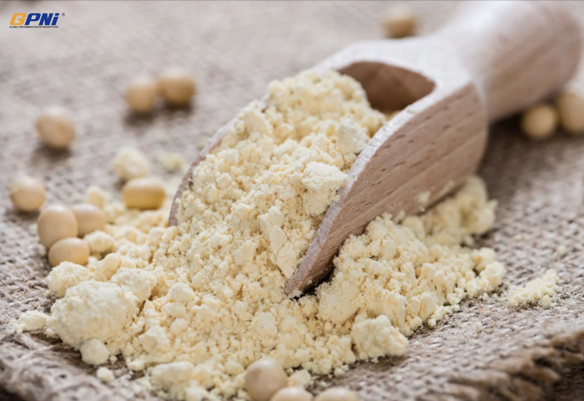 Can Soy Affect Hormones And Lower Testosterone? NO!