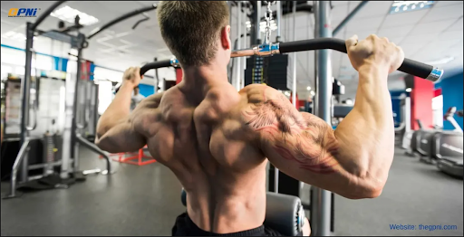 Skeletal Muscle Memory: What It Really Means for Sports, Aging, and Nutrition