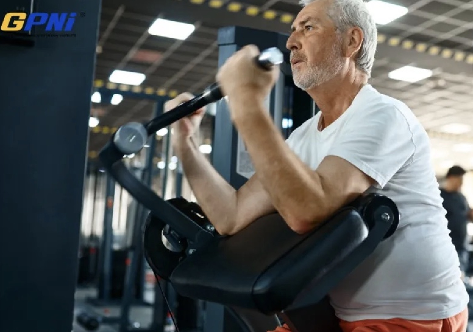 Fight Aging with Protein: Muscle, Recovery, Longevity