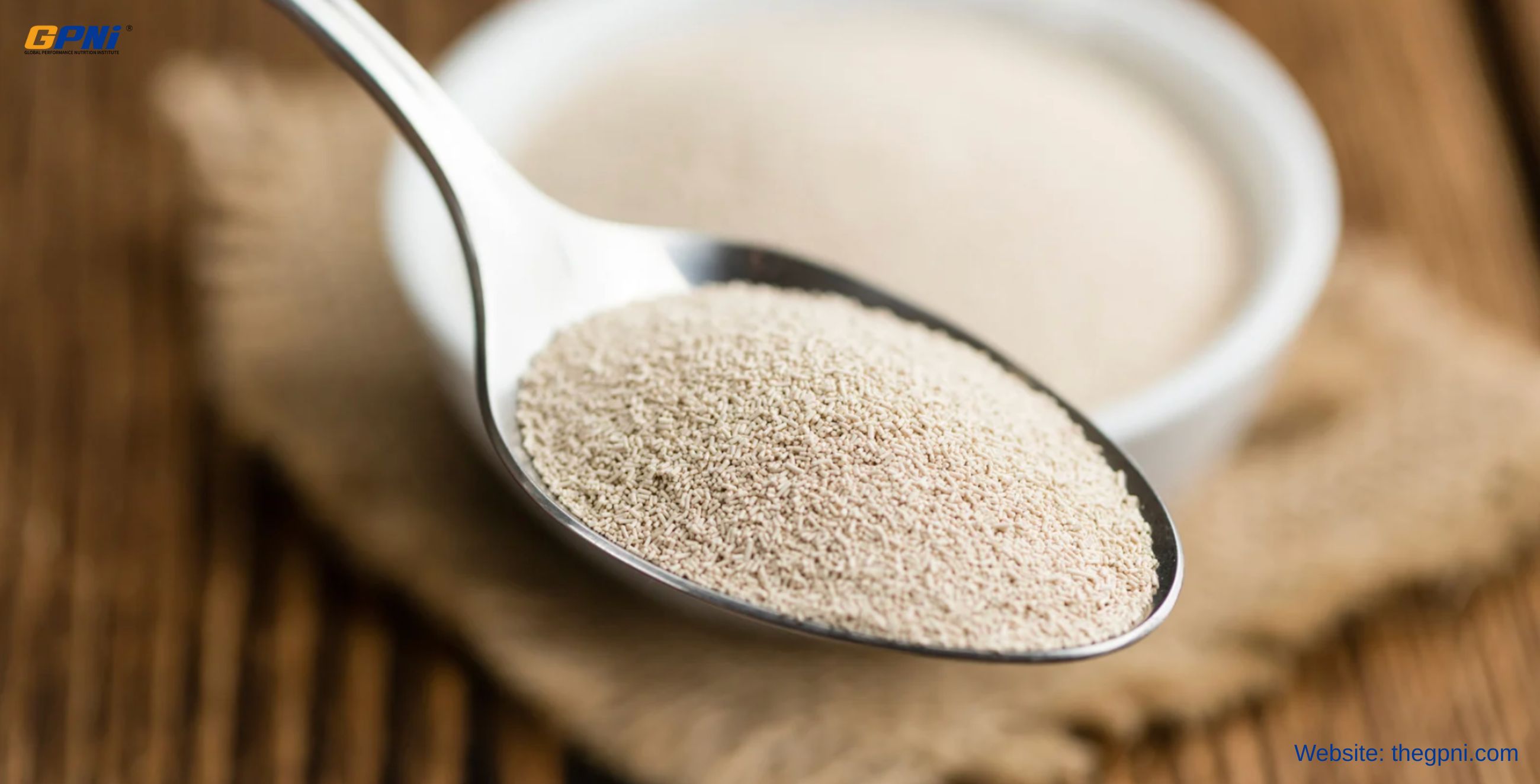 Reassessing Yeast Protein as an Alternative Protein Source