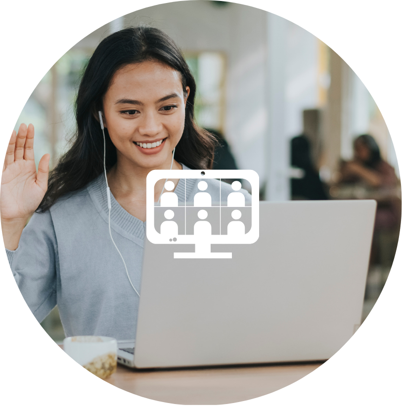 Webinar/  seminar